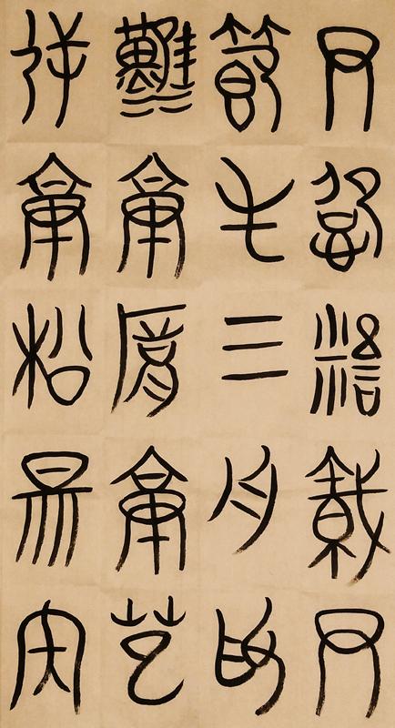 福建最新动态,获取最新福建消息的途径与了解地方发展