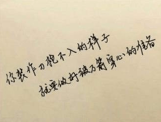 最新拽句子,时代风尚的特写风采