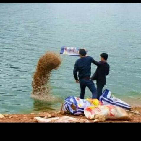 科学钓鱼最新探索，学习与实践的成就感之旅