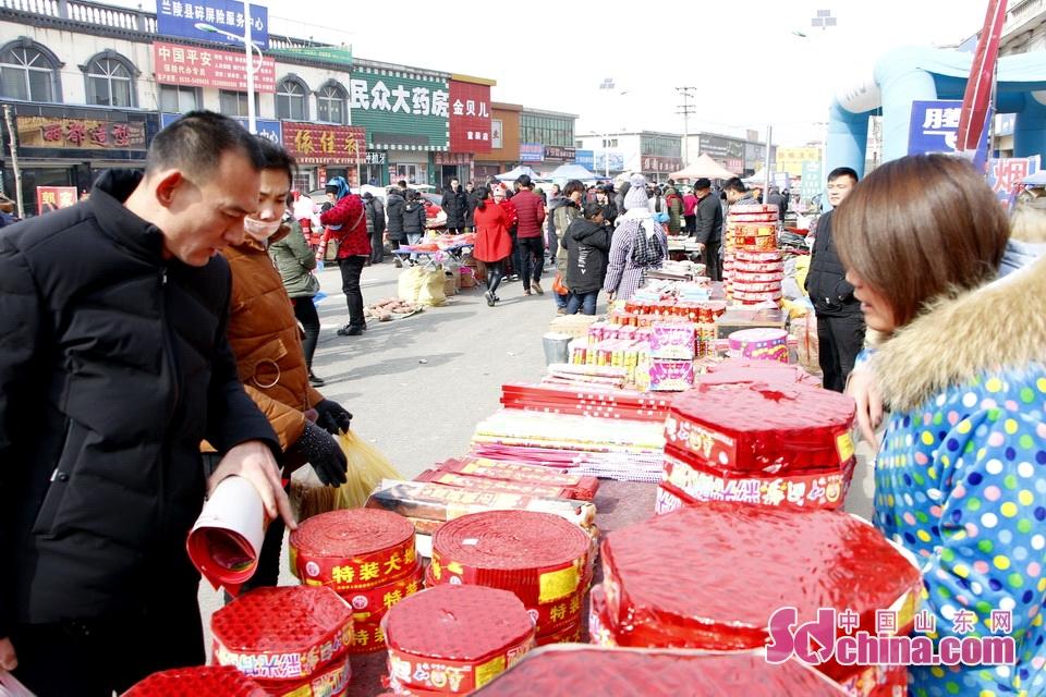 淘元素最新，淘淘的奇妙冒险之旅与友情的温暖体验