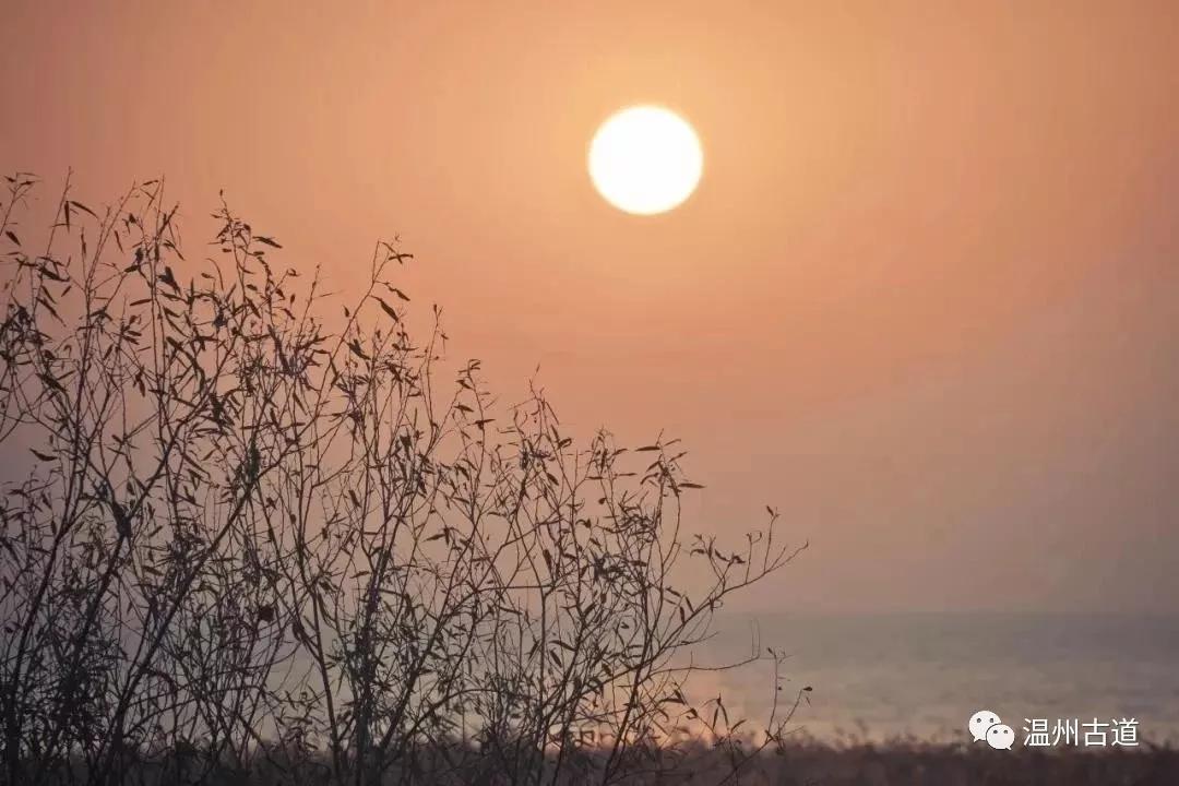 最新瘟疫诗词，时代之声与人文关怀的交融展现