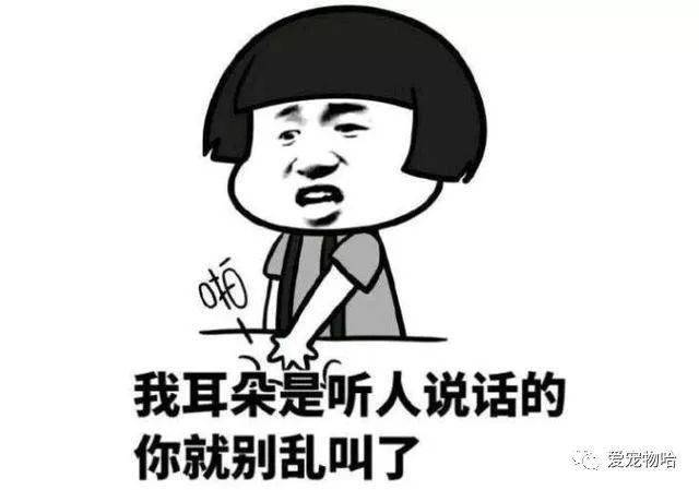 最新枕边笑话，科技小宝贝，生活添乐趣