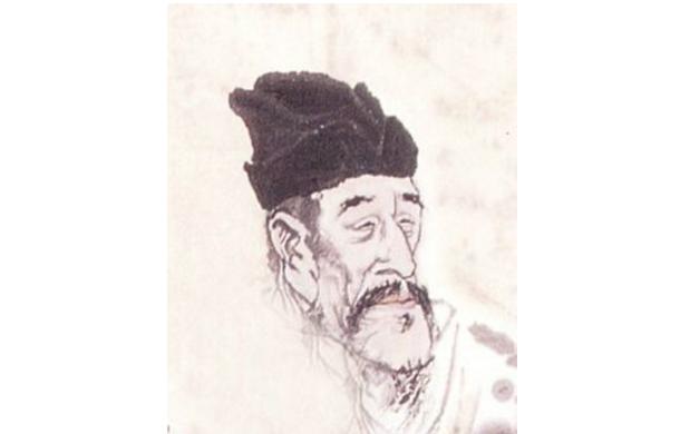 最新孤雁图片，展现自然之美与深意的瞬间