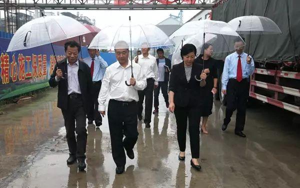 最新金丹科技引领科技新潮流，开启未来之门！