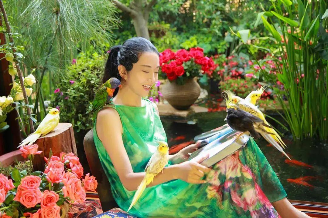 昆明最新舞蹈，文化现象的深度探讨