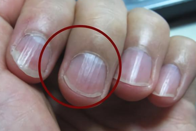 最新内防指揭秘,小巷深处的独特风味探索