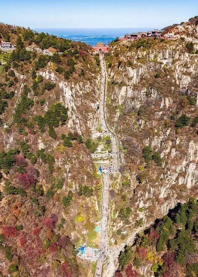 泰山最新闻，观点与立场的深度探讨