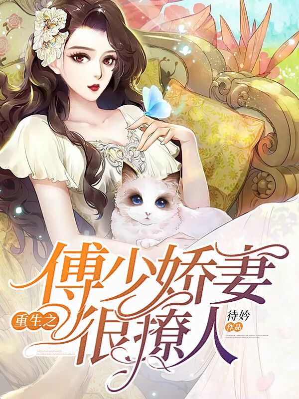 最新小说入，友情的小船与温馨的日常故事