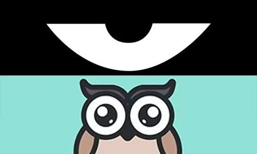 最新积目，全面解读与观点阐述