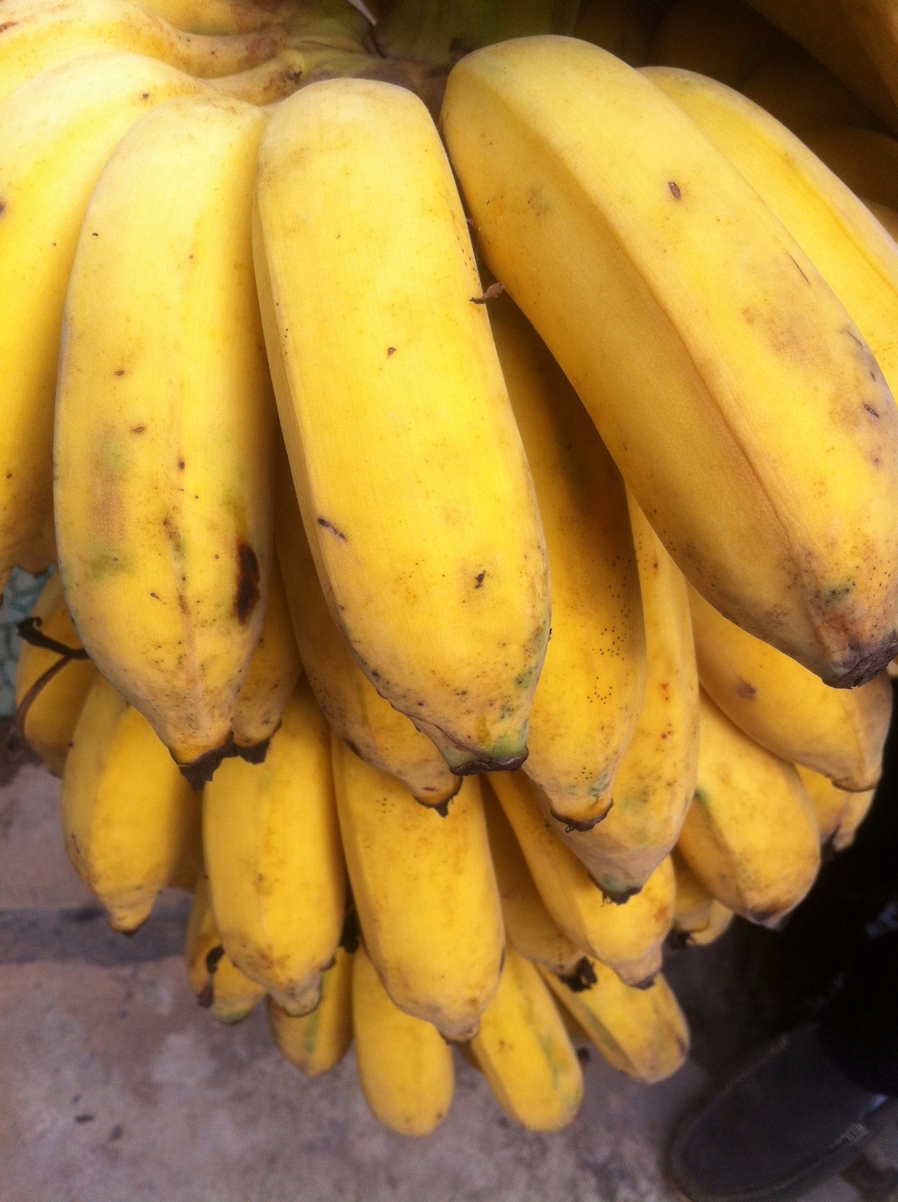 芭蕉最新价格,开启心灵平静的绿色之旅