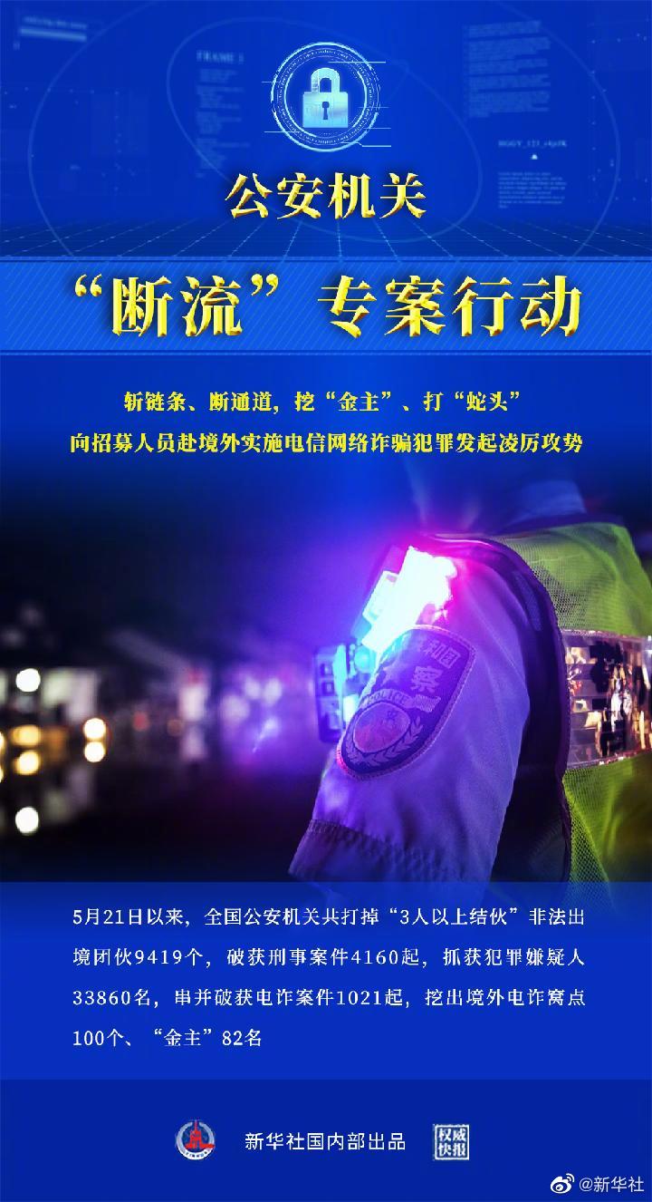 警方最新行动，深入分析与观点阐述的全面报告