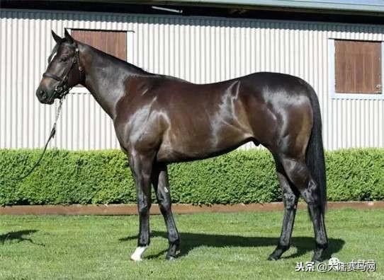 卡拉卡最新指南,任务完成与技能学习步骤攻略