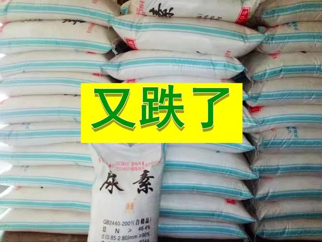 最新钾肥动态,行业进展、影响与地位揭秘