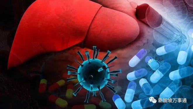 最新肝炎暴发背景下的小巷疗愈之地探索