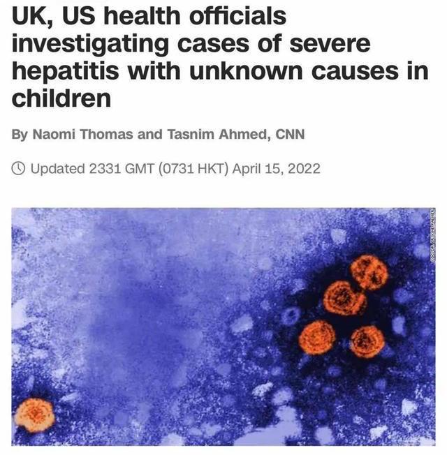 最新肝炎暴发背景下的小巷疗愈之地探索