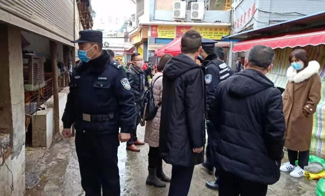 紫云县最新发展论述概览