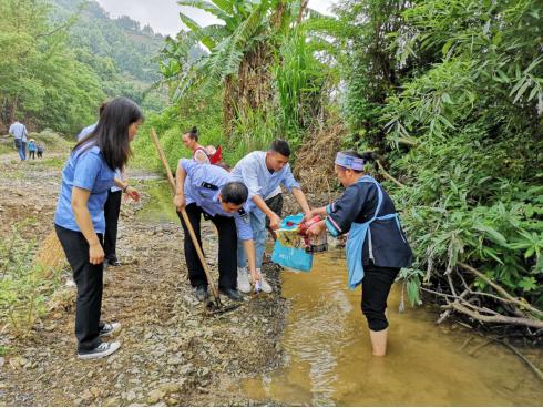 紫云县最新发展论述概览