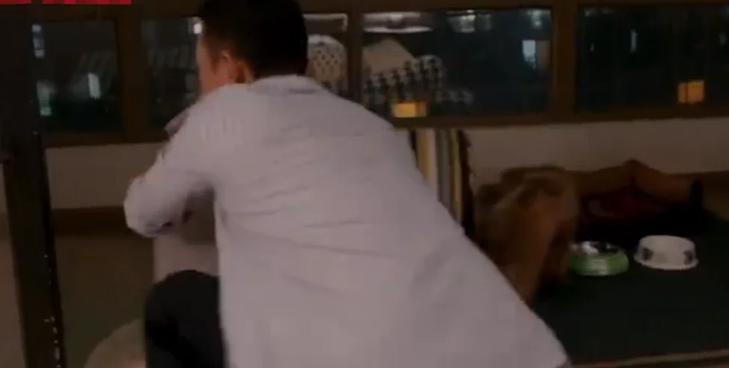 安家最新观看步骤指南,详细解读最新剧情与精彩看点