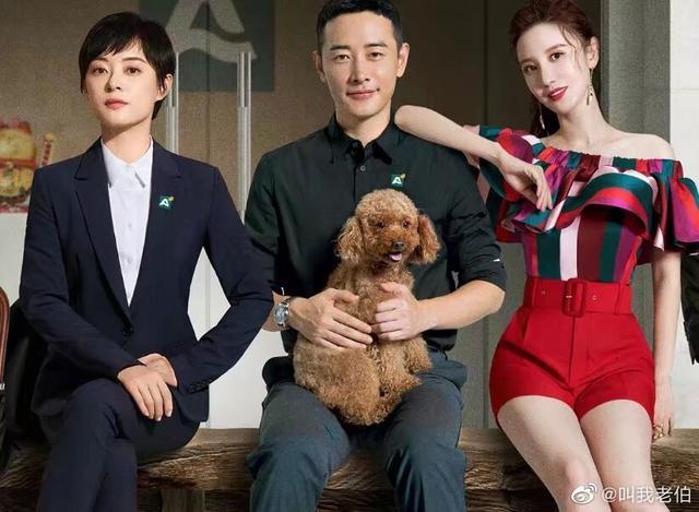 安家最新观看步骤指南,详细解读最新剧情与精彩看点