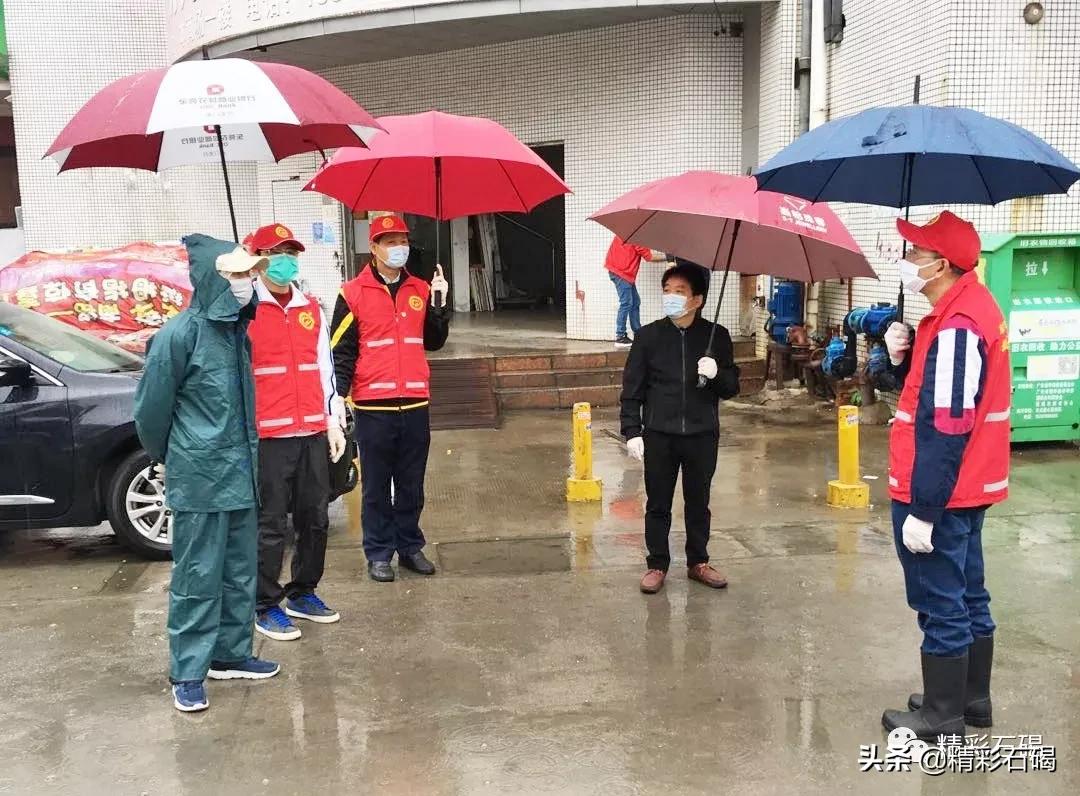 石碣最新疫情动态，变化中的学习，铸就未来力量