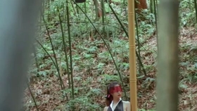 原野小年最新风情，小巷深处的独特魅力
