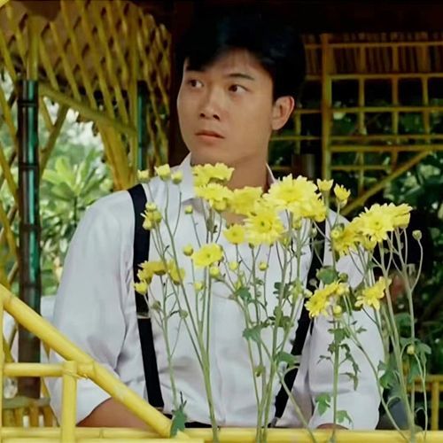 秋生最新,自然美景的轻松之旅