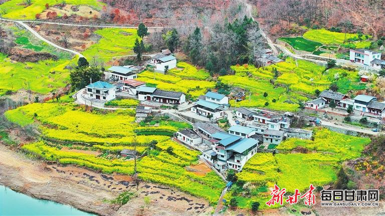 揭秘文县，历史背景、重大事件与时代地位全景展示