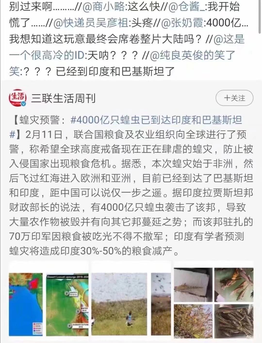 蝗虫最新动态，防治与监测的全面指南