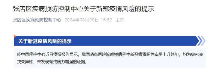 张店最新疫情全面审视与观点阐述