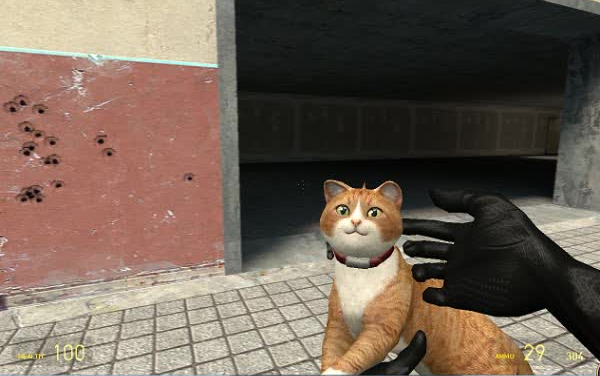 猫咪CF最新攻略,一步步教你如何完成任务与掌握技能