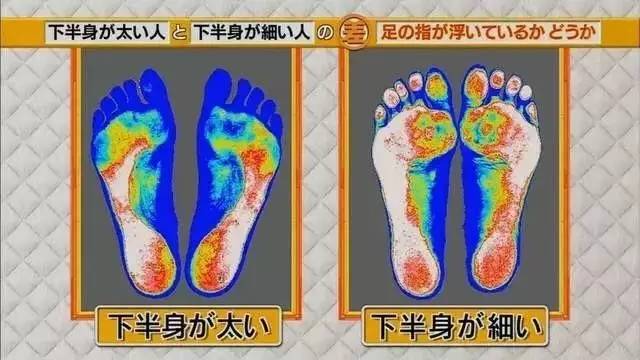 最新地趾论述，探索、争议与观点综述