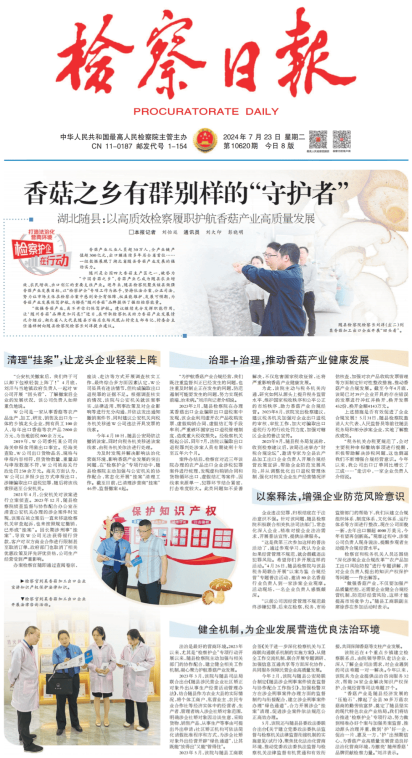 最新香菇群，文化现象的多角度解读