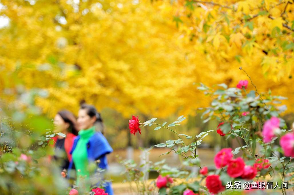 科技季节最新,科技与生活的完美融合📱💡