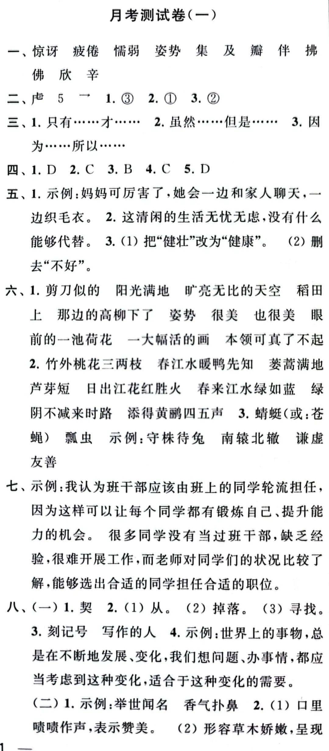 最新月考与大自然疗愈之旅，寻找内心平静的奇妙探险