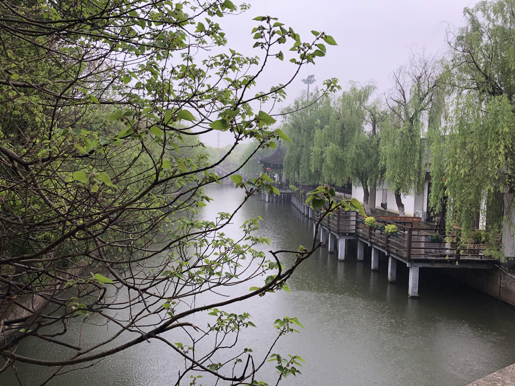 江南烟雨最新，自信与成就感的成长之旅
