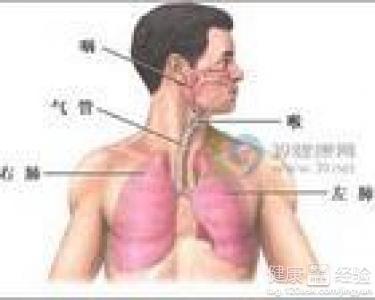 咸丰肺炎最新全面指南与详解，症状、治疗、步骤解析