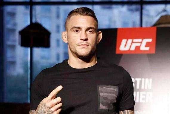 最新蜜獾,小巷中的甜蜜探险之旅