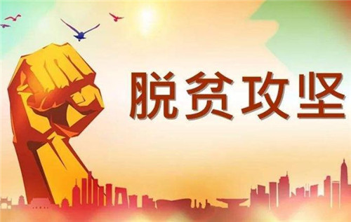 中国脱贫最新进展与论述概述