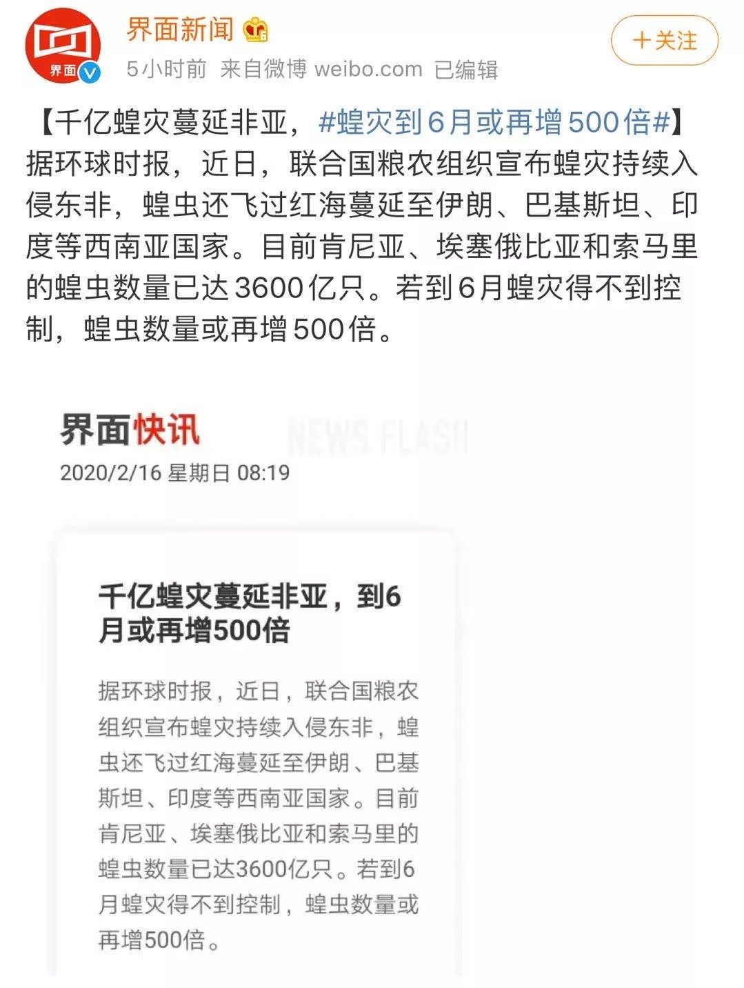 世界蝗灾最新动态，探索自然美景的轻松之旅