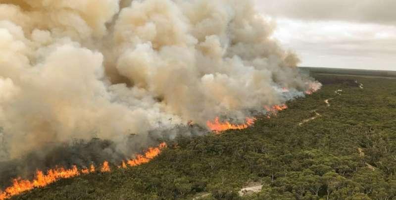 南澳山火最新情况更新,实时动态与进展