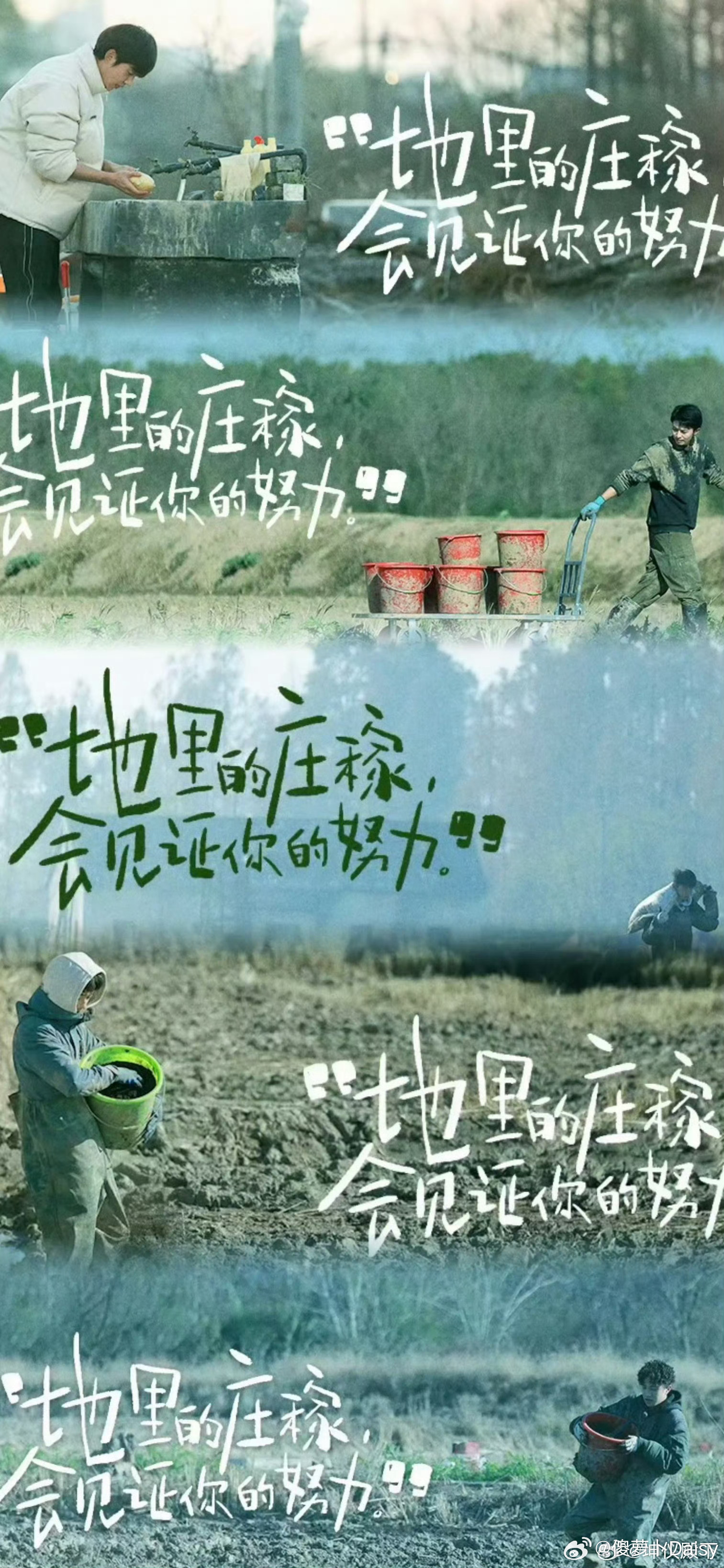 种地吧最新语录,探索未来农业的高科技魅力