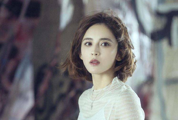 娱乐圈文深度解析,背景、事件与最新动态揭秘