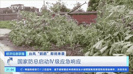 超强台风鹦鹉来袭，最新路径动态全解析🌪️