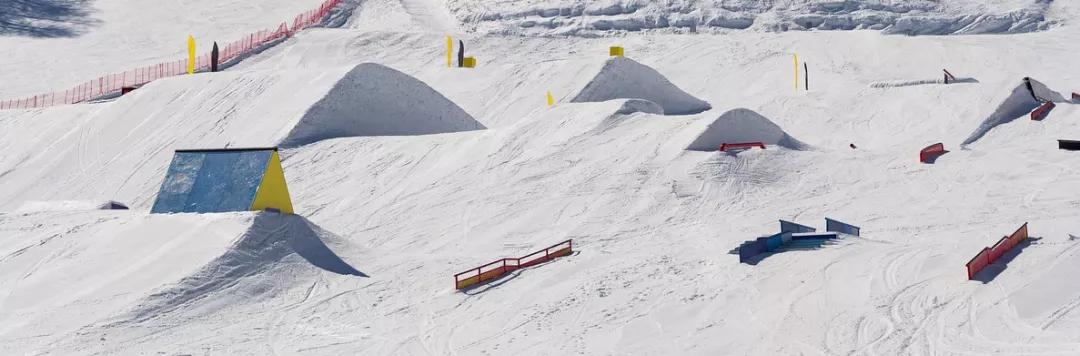 2025网红新星璀璨闪耀,最新排名引领潮流