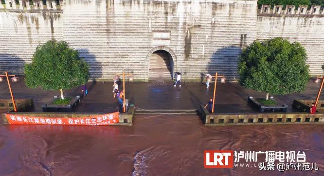 泸州涨水最新动态及小巷深处的独特风情与美食秘境探索