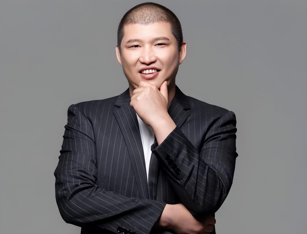 二驴辛巴最新冒险,友谊的温暖与日常趣味探索