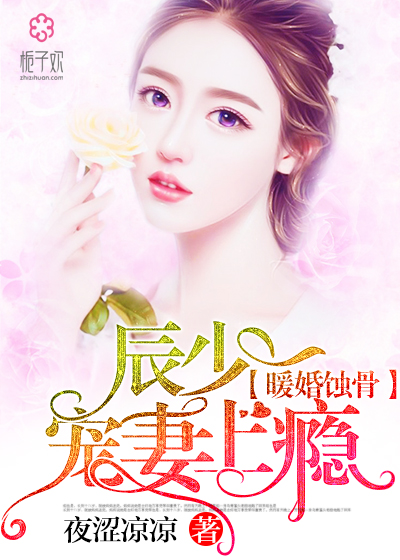 陆少宠上瘾最新动态，日常趣事与真挚友情的独特魅力