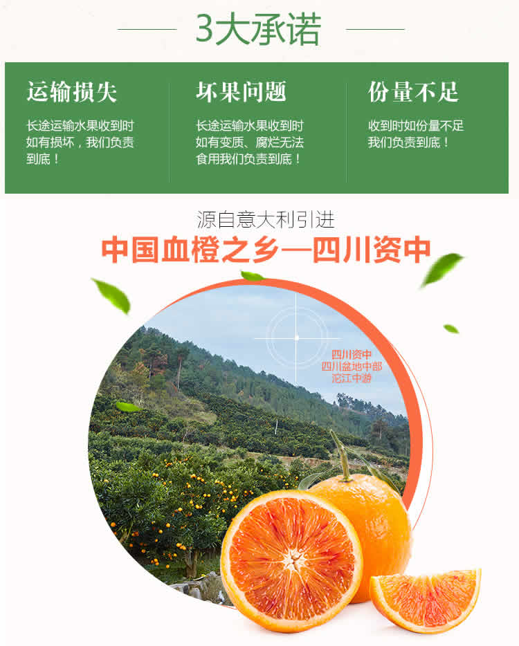 资中血橙,种植、管理与销售全攻略的最新消息