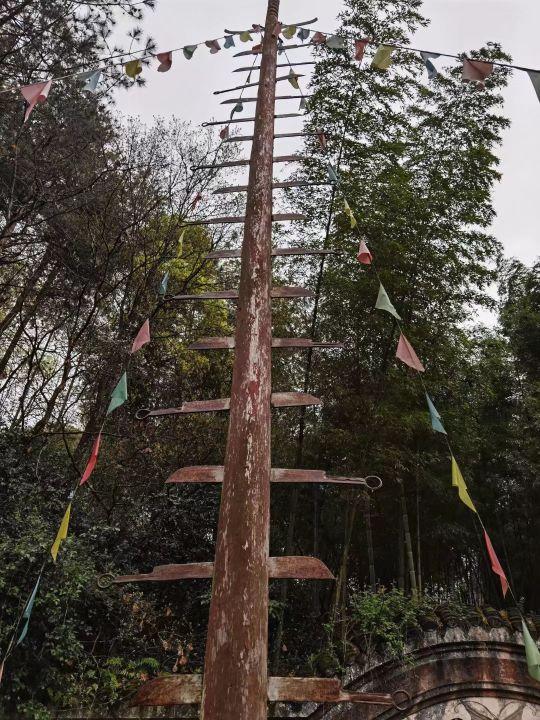 最新疫情下,探索自然美景,旅行的准备与期待