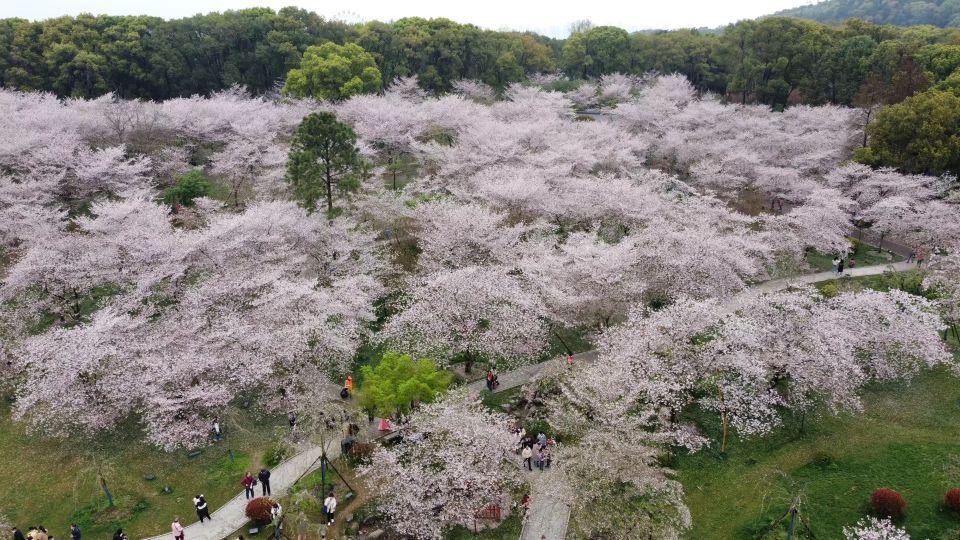 最新疫情下,探索自然美景,旅行的准备与期待